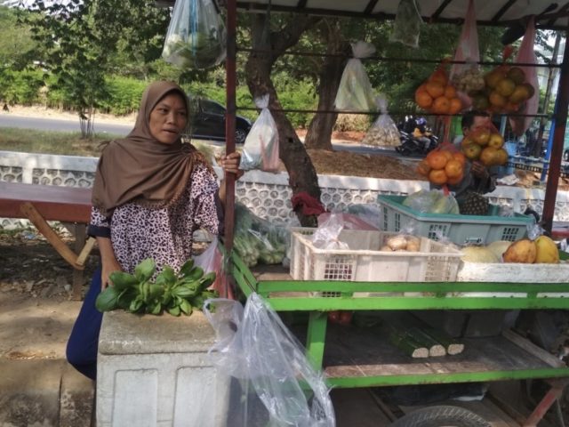 Claire Santoso - Urban Farming