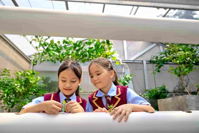 Students learn how to ask good questions and design experiments
