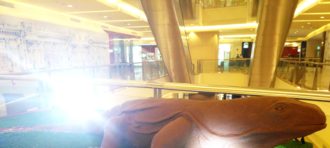 Grade 11 – Banking Internship Program