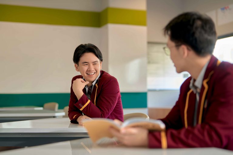 Understanding Language Acquisition IB Programme: an Essential Guide